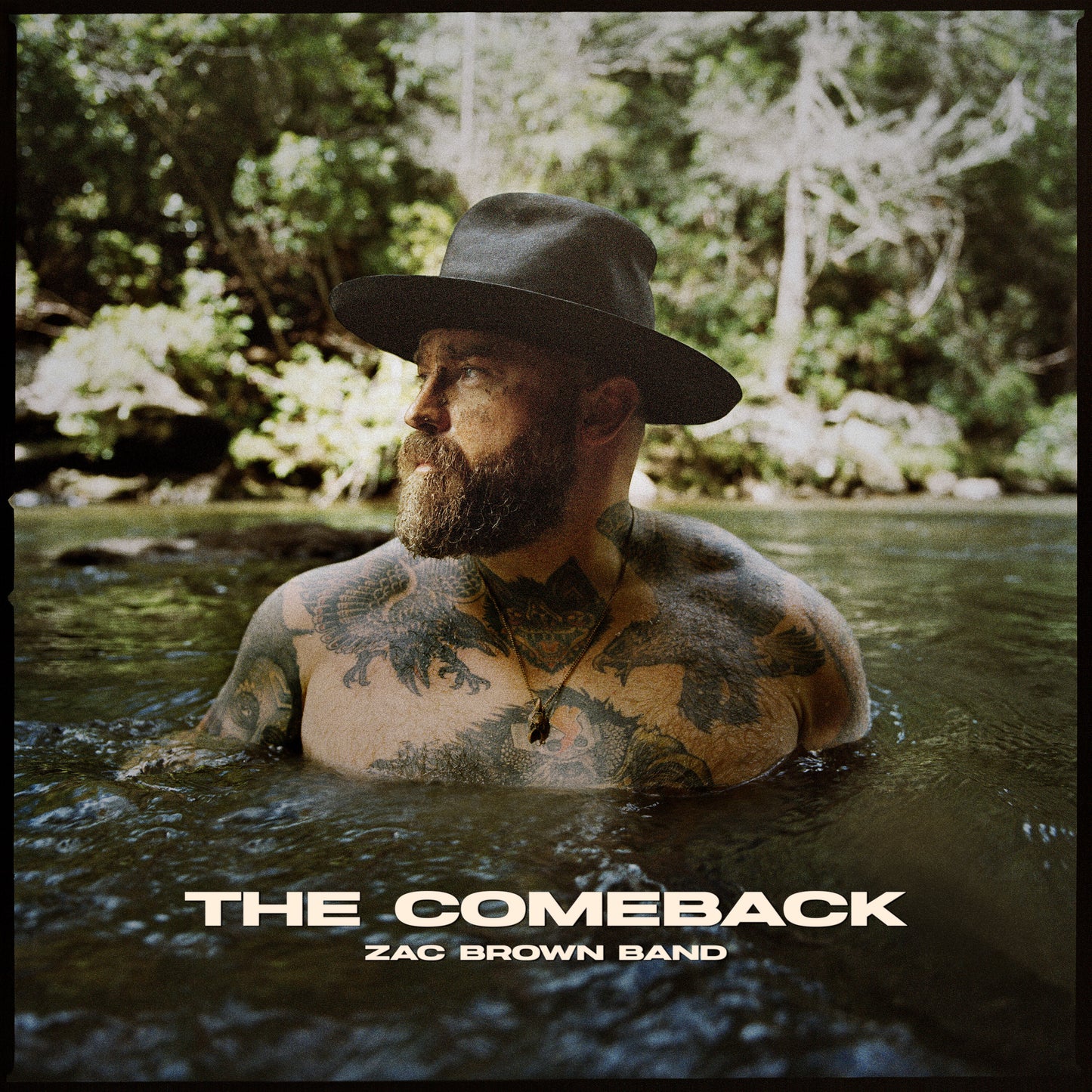 The Comeback Vinyl