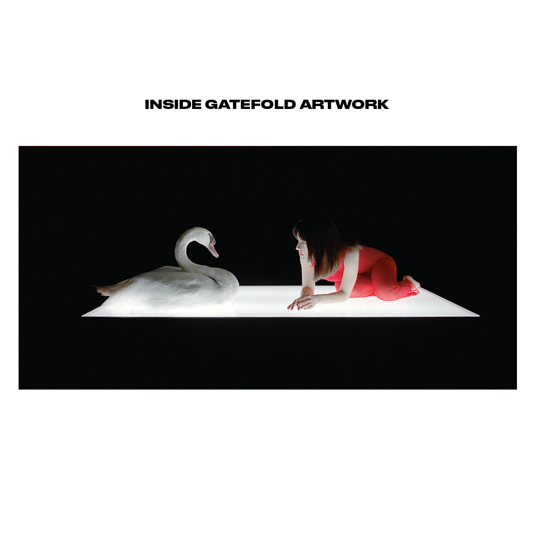 cinema clear white vinyl (online exclusive)