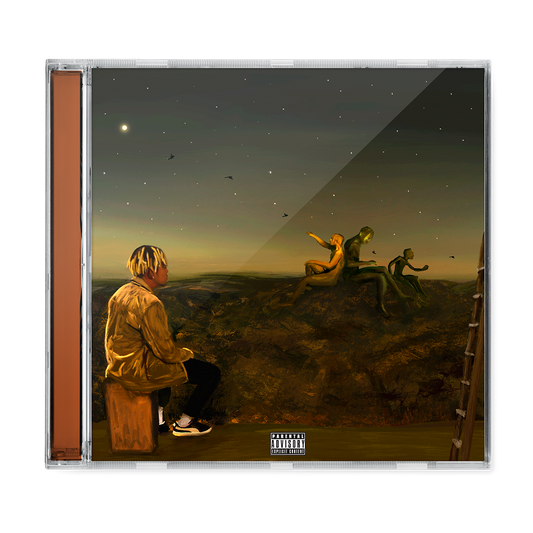 From a Birds Eye View CD