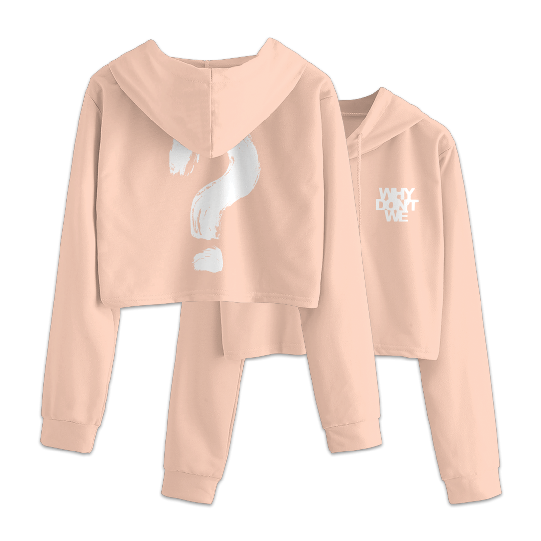 2020 Logo Crop Hoodie