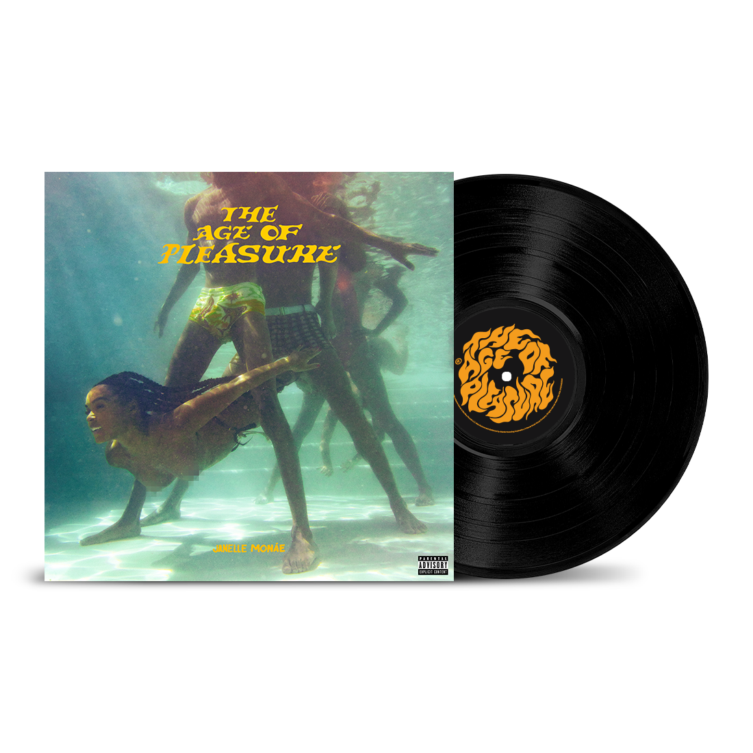 The Age of Pleasure Vinyl (alternate cover)