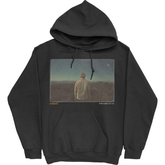 From A Birds Eye View Hoodie