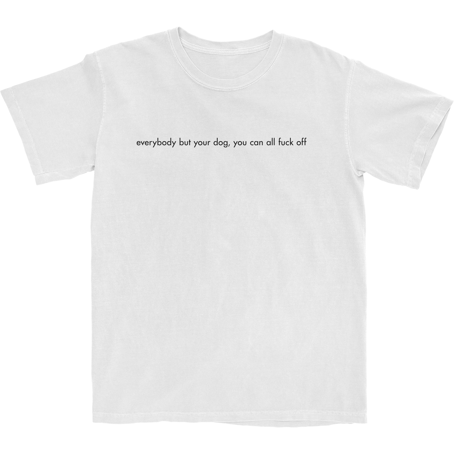 Everybody But Your Dog Lyric Tee