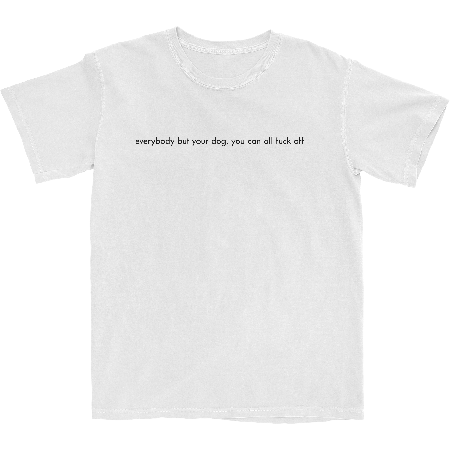 Everybody But Your Dog Lyric Tee