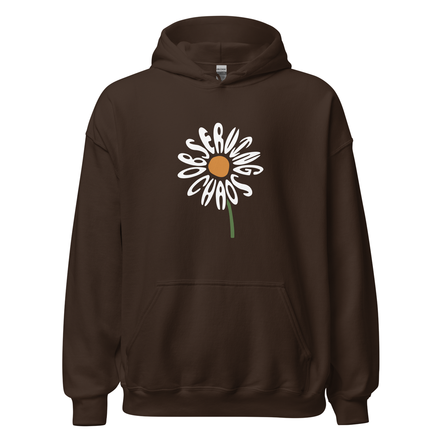 Observing Chaos Hoodie