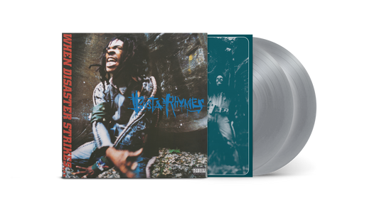 When Disaster Strikes