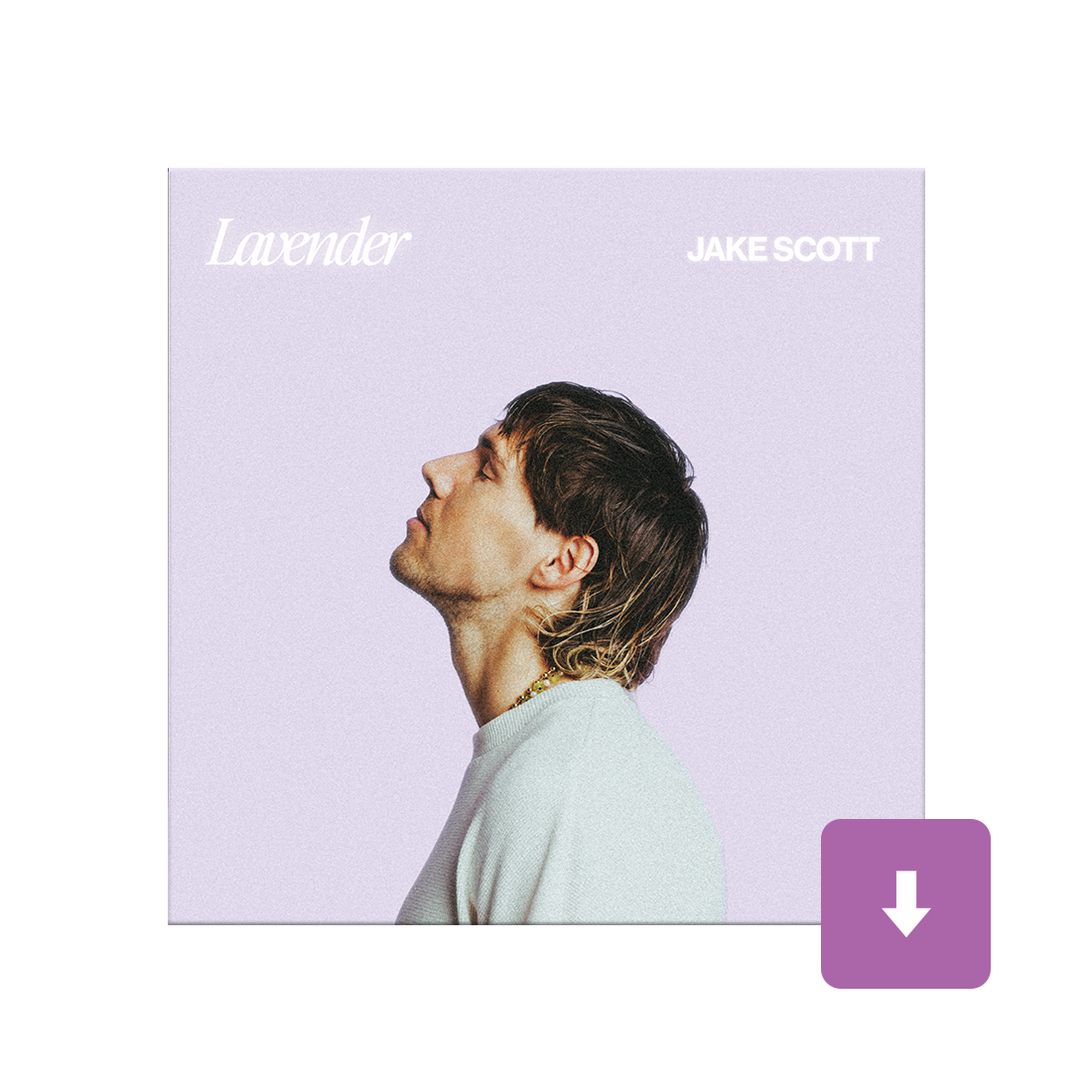 Lavender Digital Album