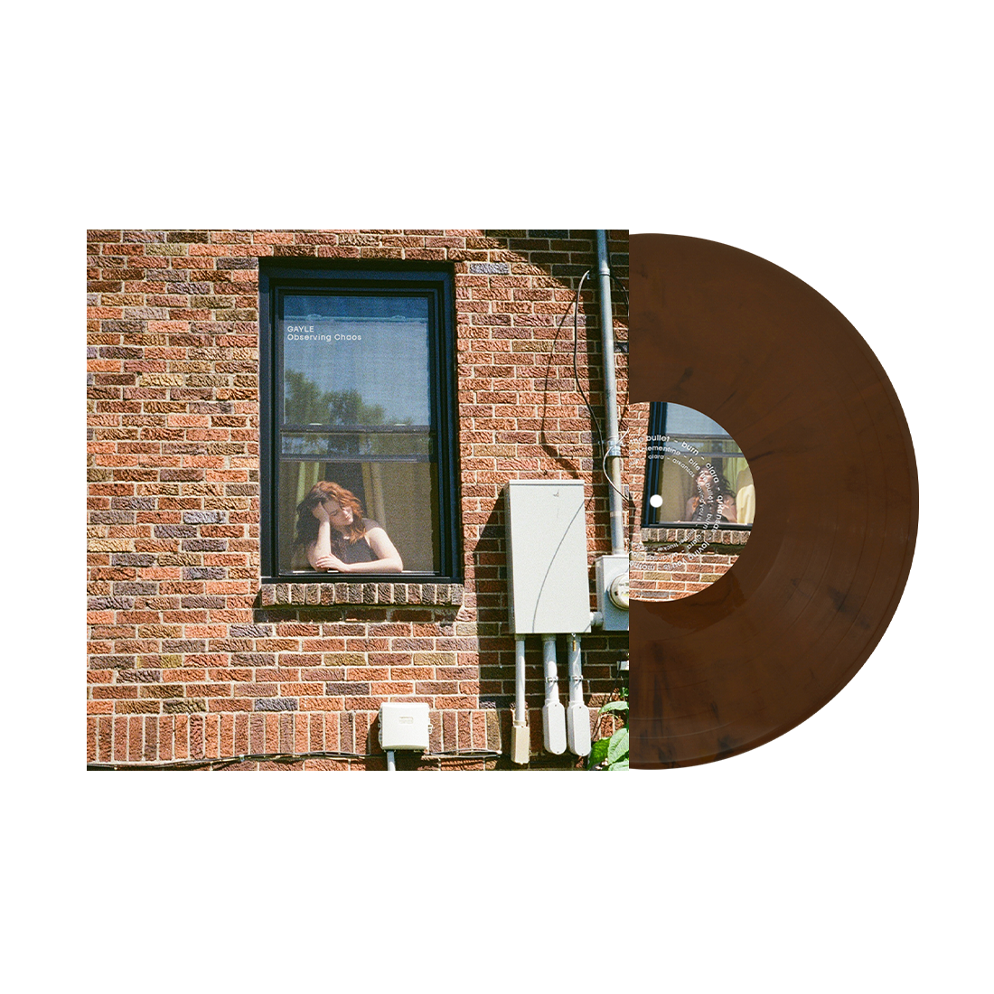 Observing Chaos (Floor-board Brown Vinyl)