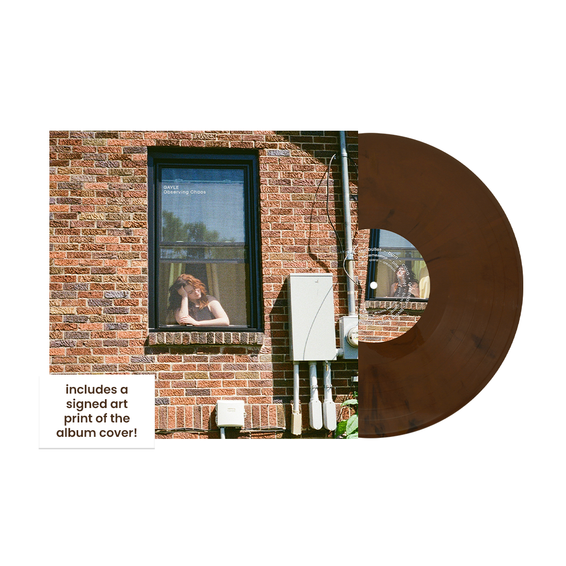 Observing Chaos (Signed Floor-board Brown Vinyl)