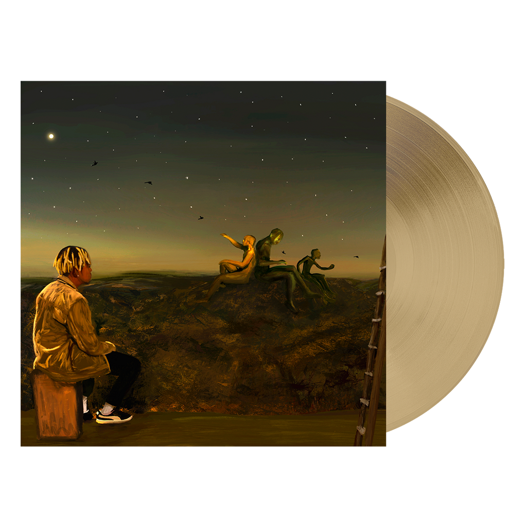 From A Birds Eye View Tan Vinyl