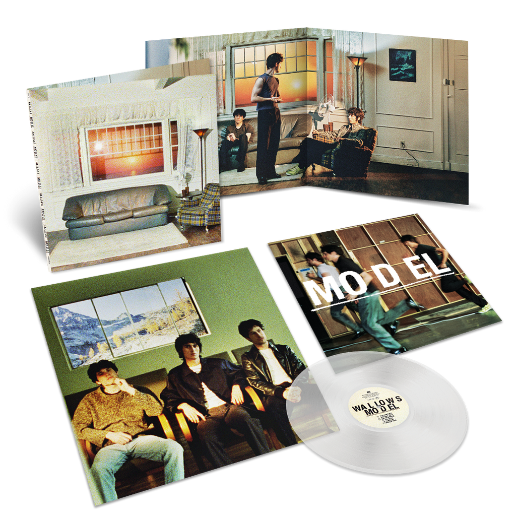 Model - Clear Vinyl