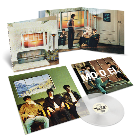 Model - Clear Vinyl