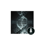 Evolution Deluxe Digital Album Download