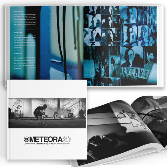 Linkin Park - Meteora (vinyl, Lp, Vinilo, Vinil)