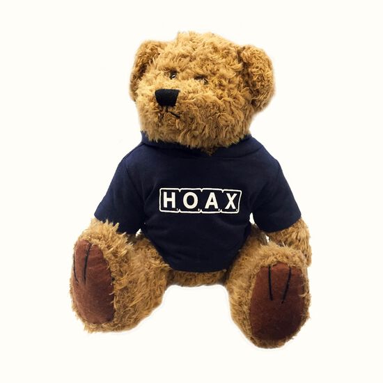 Ted Sheeran Hoax Bear